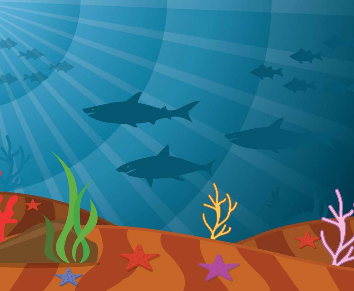Seabed Vector