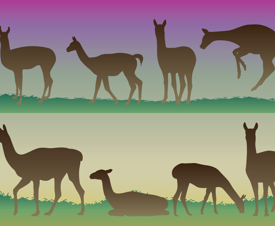 Guanaco Silhouettes