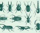 Strange Bugs