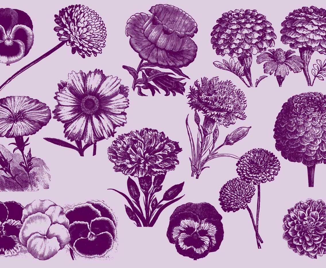 Vintage Flowers