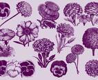 Vintage Flowers