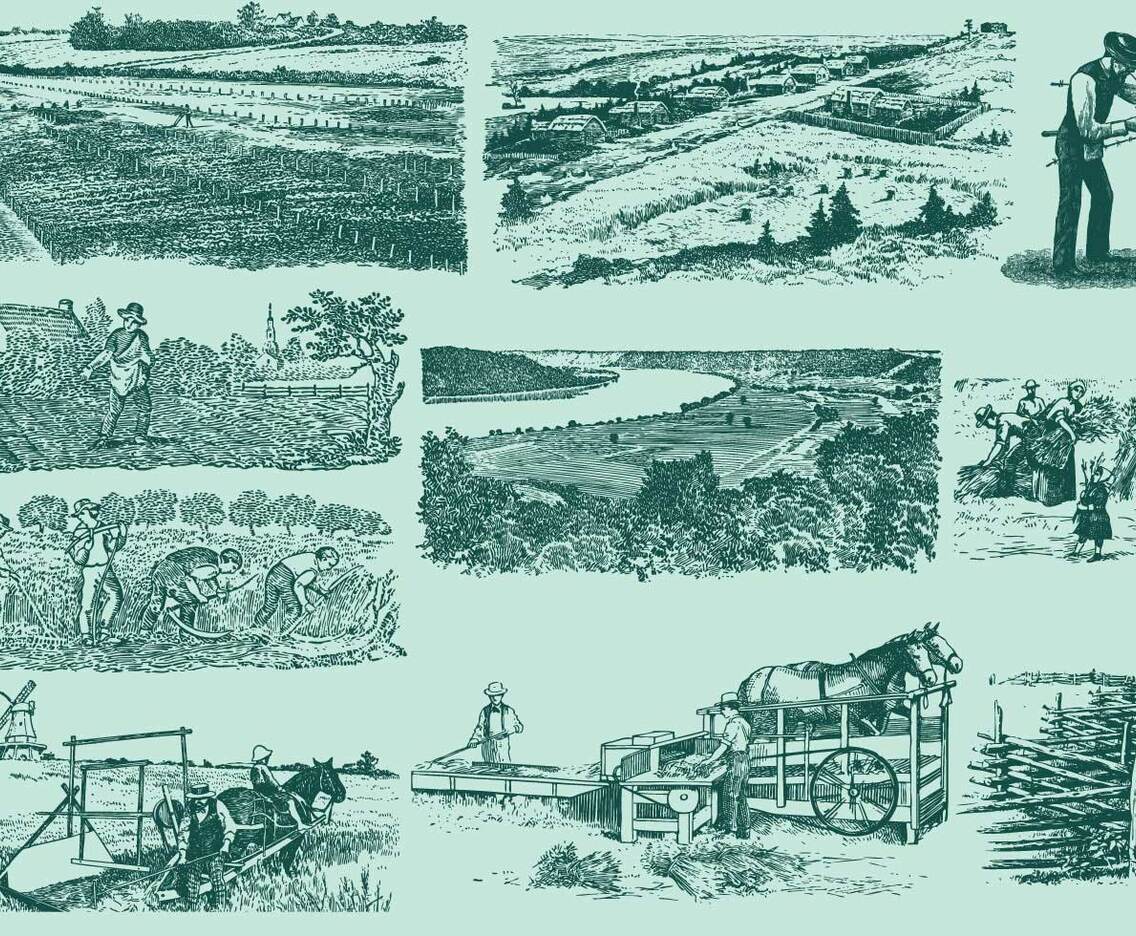 Farming Activities