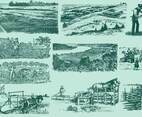 Farming Activities