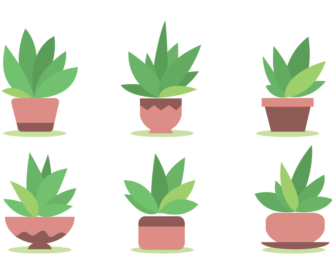 Maguey Vector Set