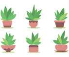 Maguey Vector Set