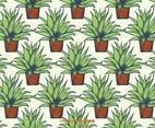 Maguey Pattern