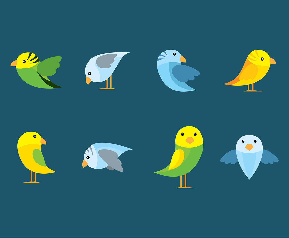Budgie Flat Cartoon