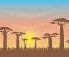 Free Baobab Vector Illustration