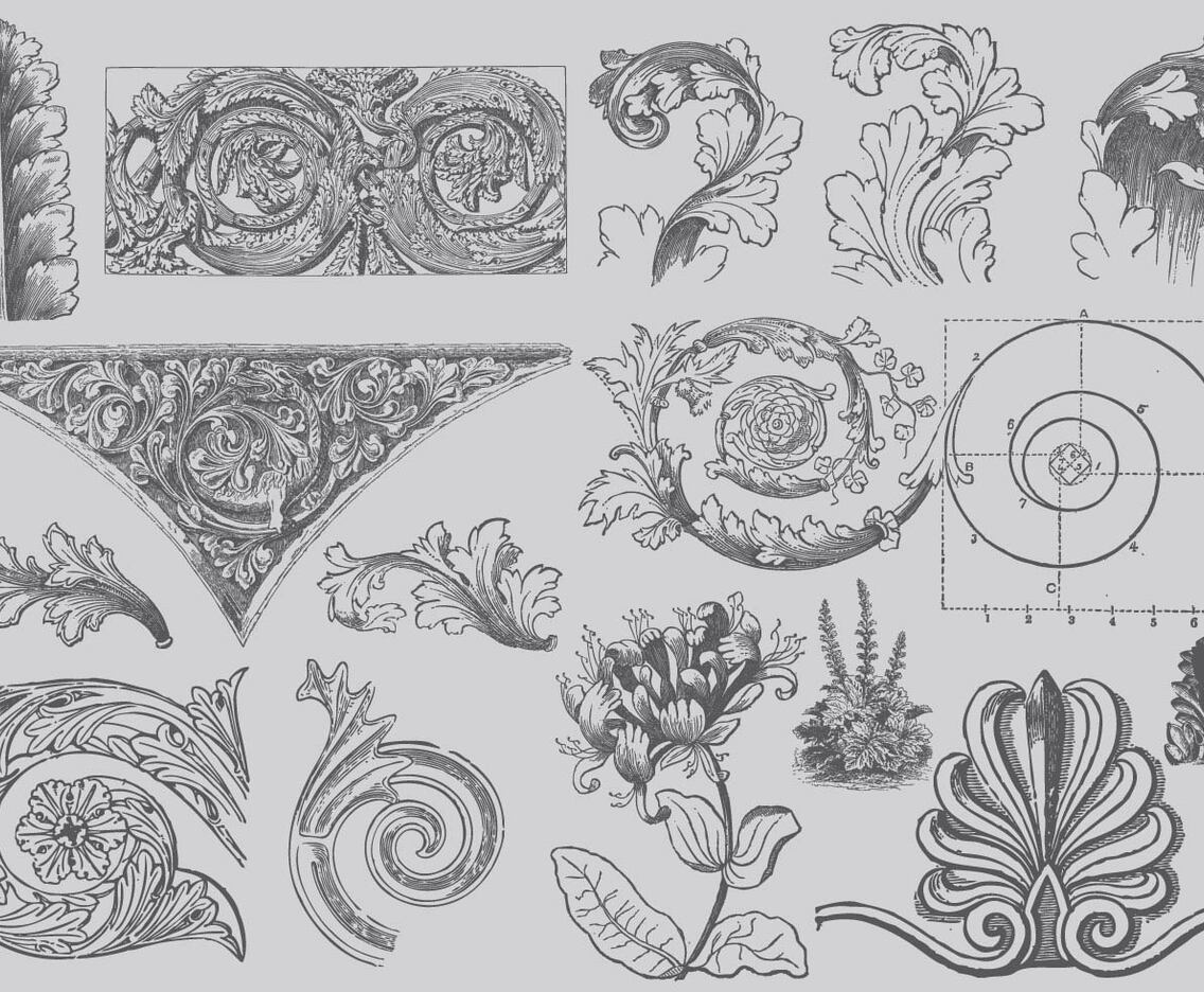 Acanthus Decor