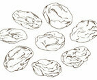 Free Raisins Vector Illustration