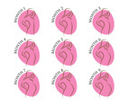 Pregnancy Stages