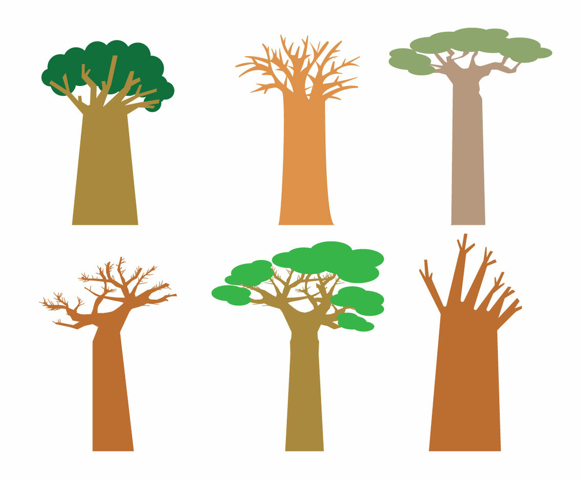 Baobab Vector