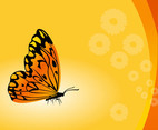 Vector Butterfly Background
