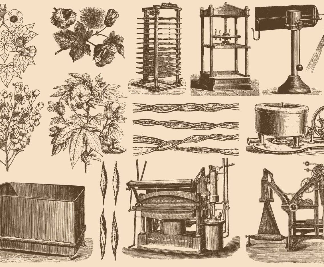 Cotton Process