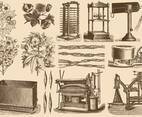 Cotton Process