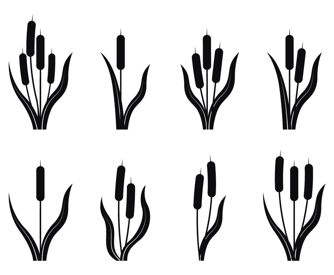 Cattails Silhouette