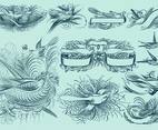 Pinstripe Bird Drawings