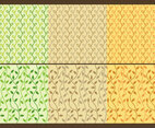 Liana Patterns