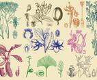 Old Style Plants