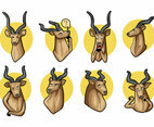 Free Kudu Vector
