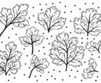 Free Cilantro Icons Vector
