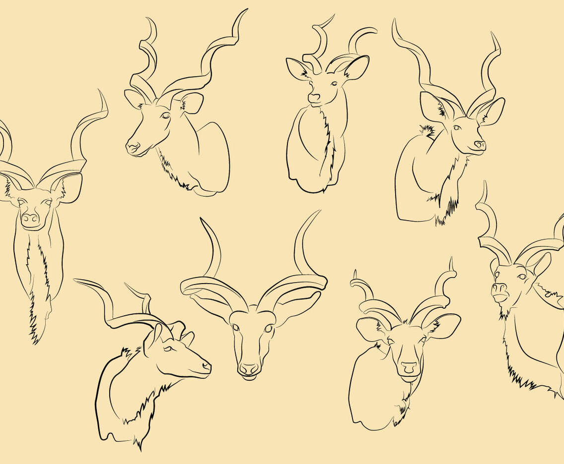 Free Kudu Vector