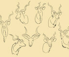 Free Kudu Vector