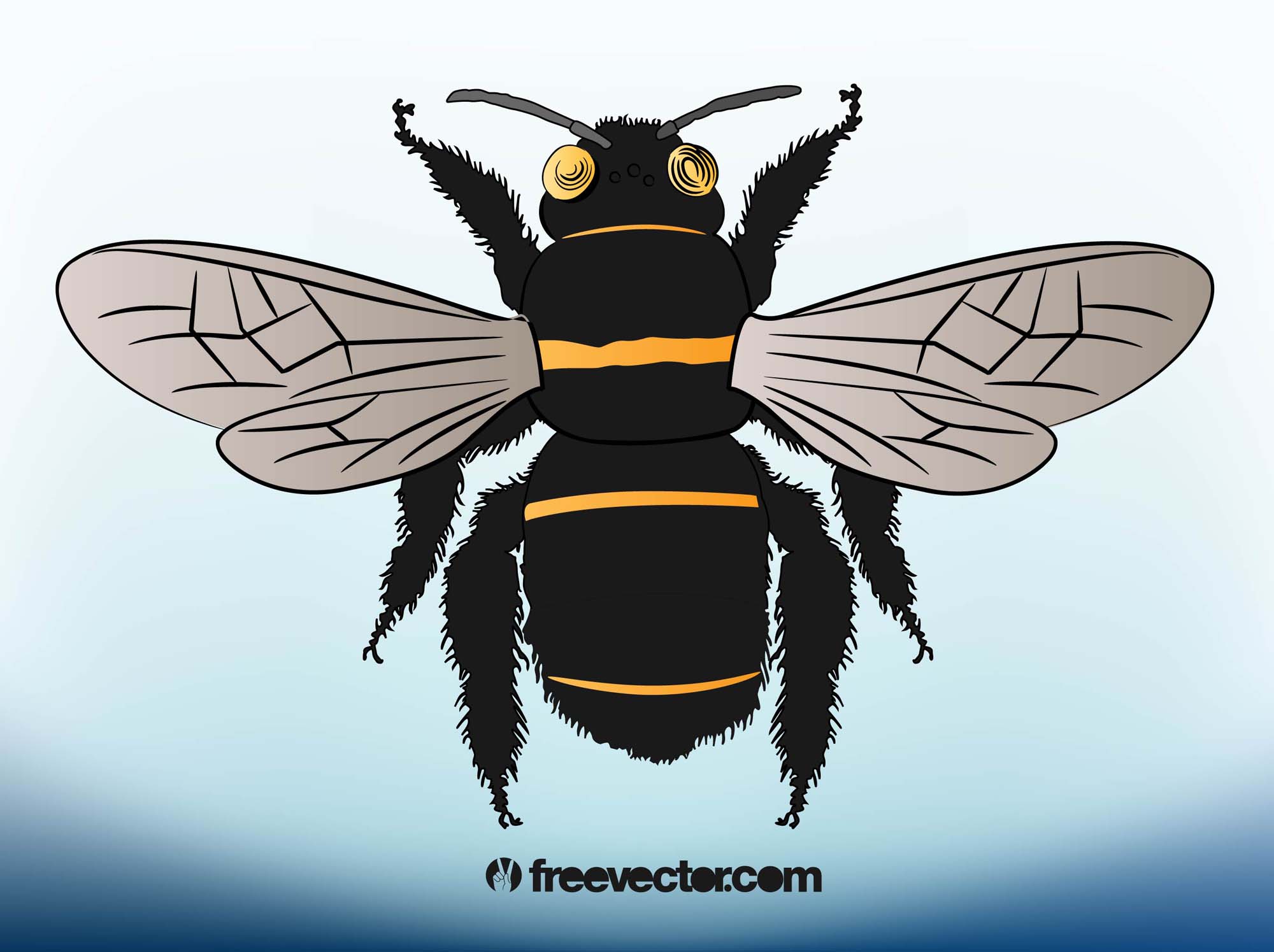 Illustration Bee Vector Art