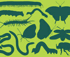 Bug Silhouettes