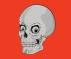 Cartoon Skull Vector Graphics