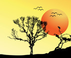 Sunset Vector Background