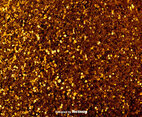 Elegant Golden Background - Vector Glowing Pixie Dust