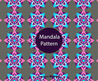 Mandala Pattern Vector