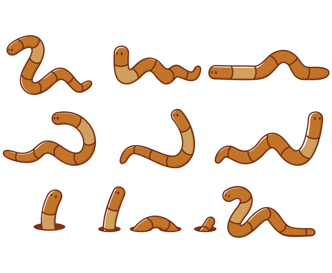 Earthworm Cartoons