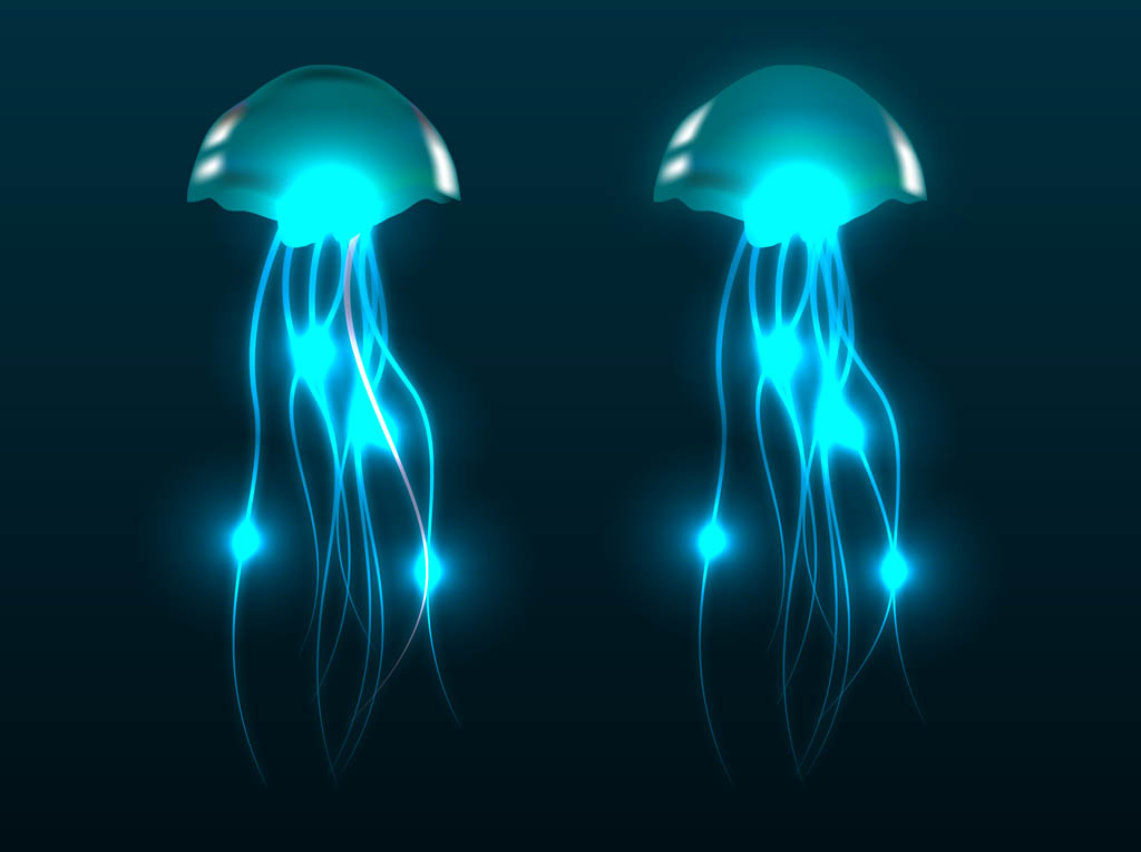 Jellyfish Vectors