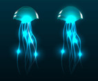 Jellyfish Vectors