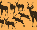 Kudu silhouette