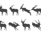 Kudu Silhouette