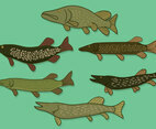 Pike Vector