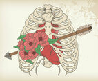 Rib Cage Vector