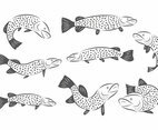 Free Pike Vector
