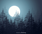 Free Araucaria Forest Vector Landscape