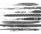 Free Grunge Tire Marks Vector