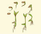 Grow Up Plant Set