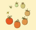 Tomato  Grow Up Set