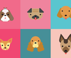 Flat Doggies