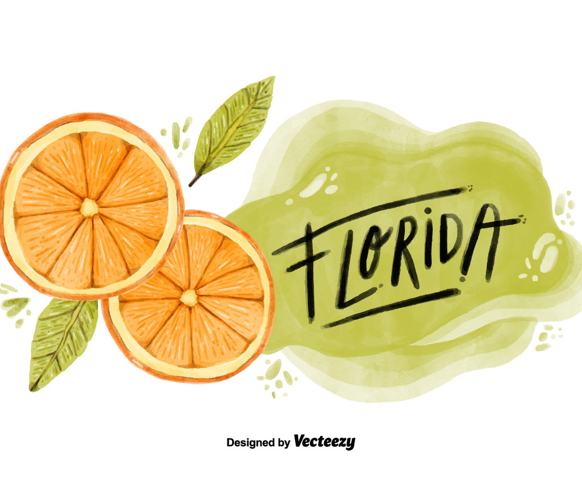 Florida Orange County Watercolor Vector