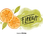 Florida Orange County Watercolor Vector