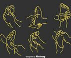 Foot Reflexology Vector