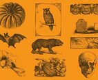 Halloween Drawings